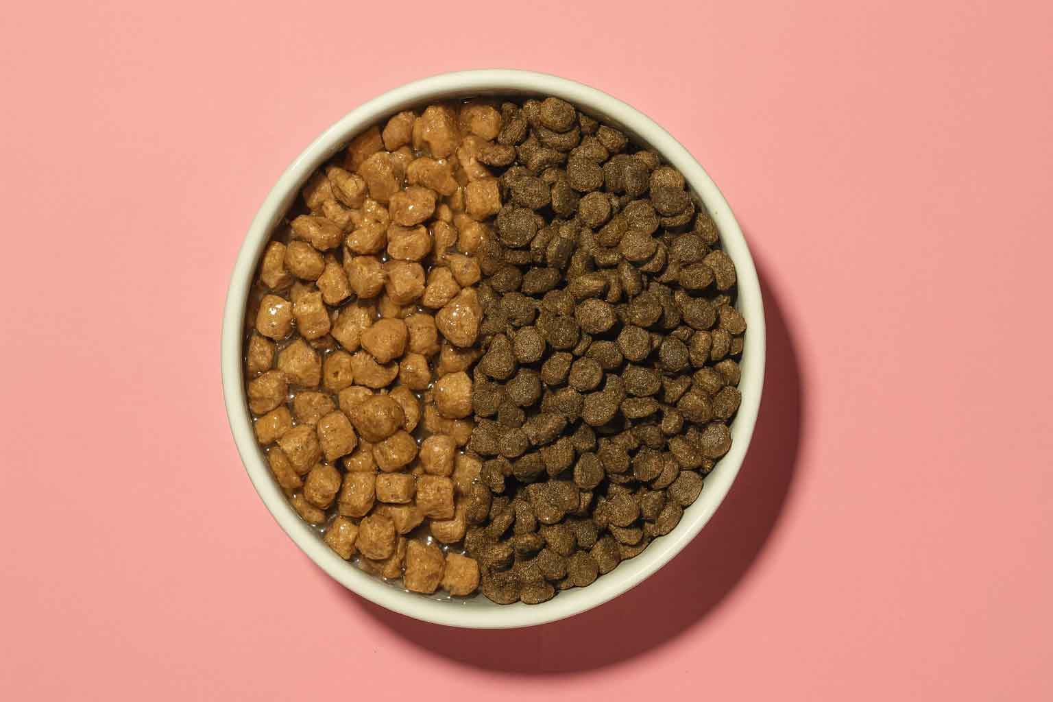 How to Compare Pet Foods Like a Nutritionist