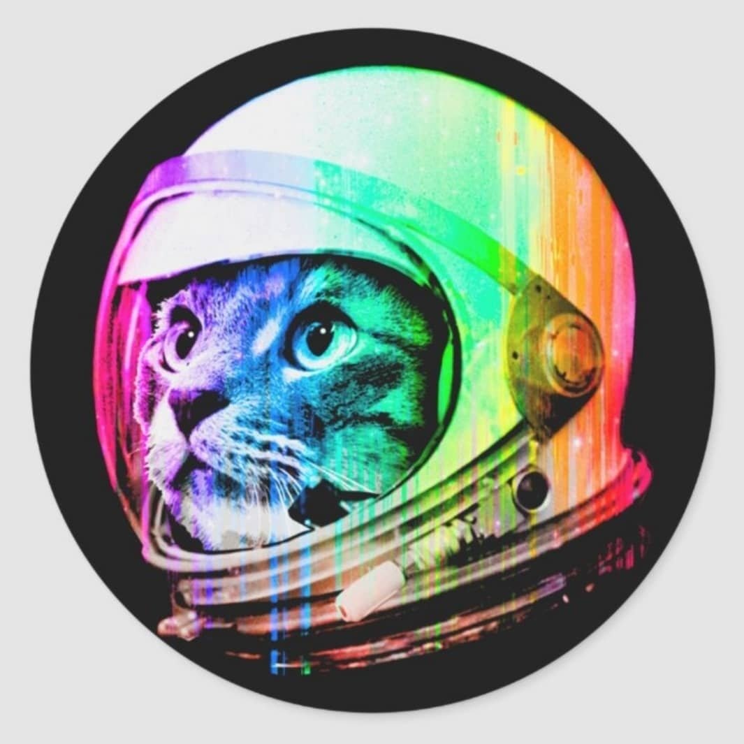 CosmoVet Veteriner Kliniği