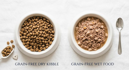 Grain-free dry kibble and wet cat food compared side by side in two bowls