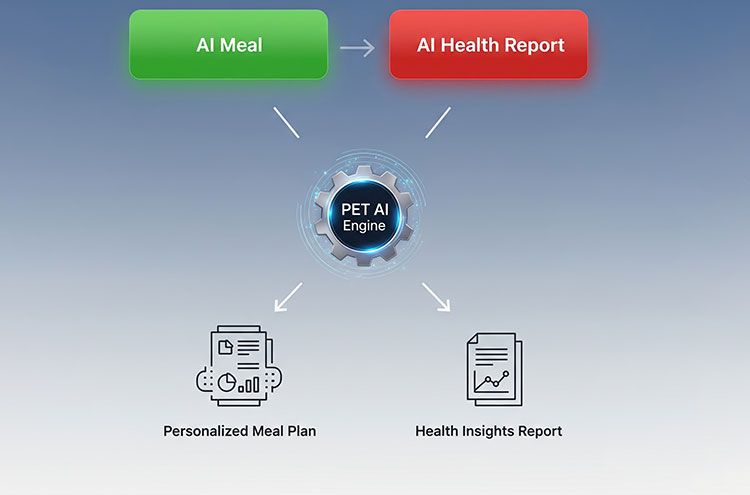 A stylized placeholder image representing learning and growth