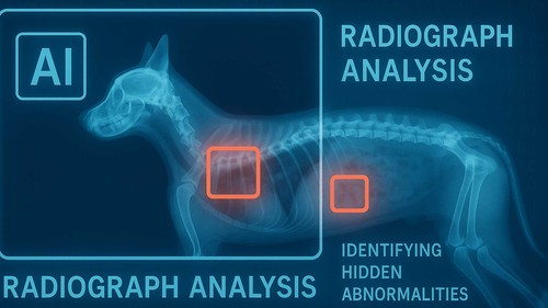 AI-powered radiograph analysis of a dog showing the identification of hidden health abnormalities.